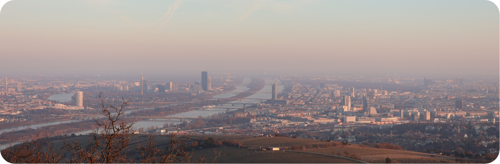 camels unterseiten rund